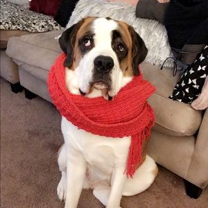 Meet your Posher, Jacie